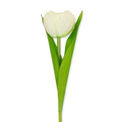 tulp wit, huisvaasje, zijde tulp